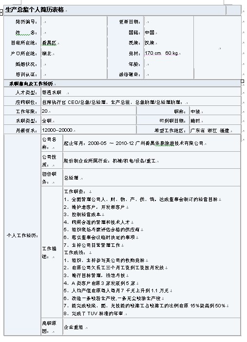 內容豐富的生產總監簡歷表格